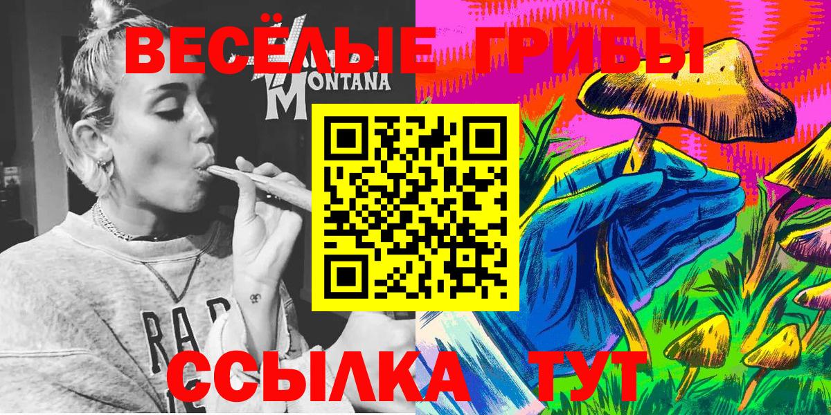 Псилоцибиновые грибы Psilocybe Мценск
