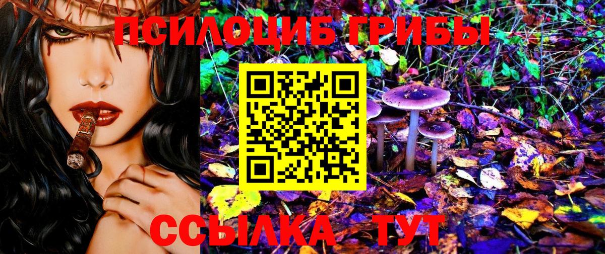 Мценск  Псилоцибиновые грибы Psilocybine cubensis  Вход с VPN 